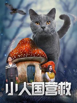 久久综合草