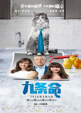 久久精品国产精品青草app