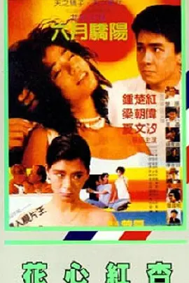 蜜月mv在线观看完整版