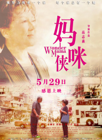 国产亚洲精品aa午夜观看