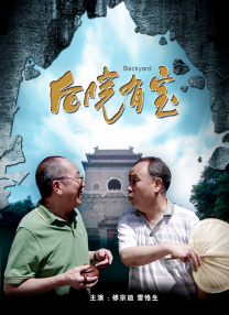 最好的视频播放软件