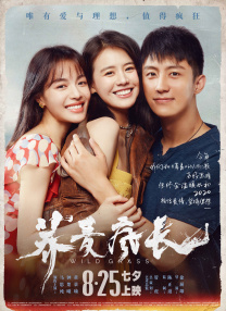 小姨的梦