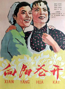 饥饿的业余阿姨